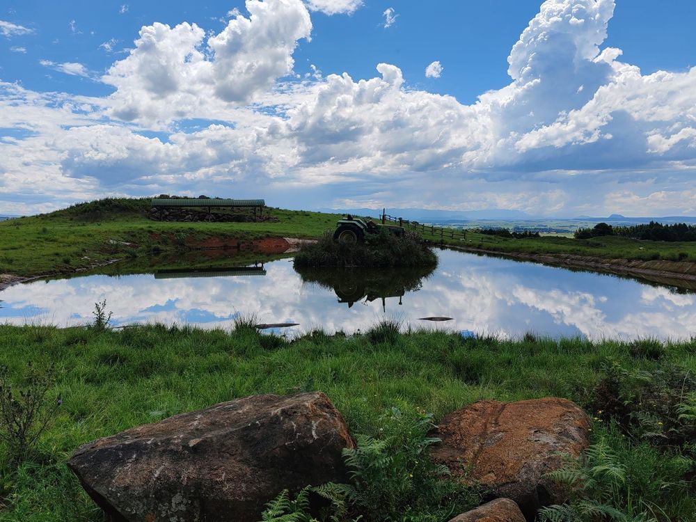 KwaZulu-Natal tourism gets boost as arrivals surge ahead of summer season