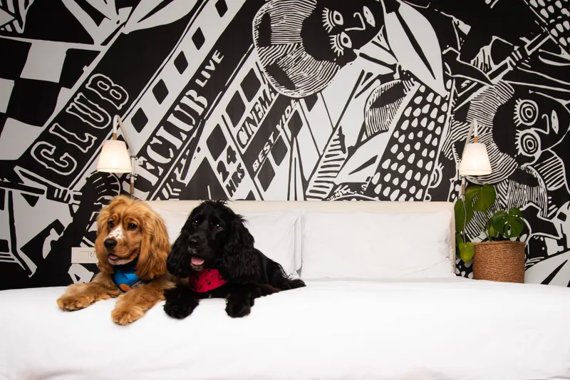Time to paws and relax with Radisson RED Waterfront
