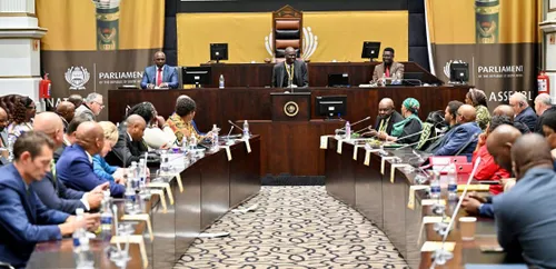 Impeachment committee backs Madonsela to lead Phala Phala evidence against Ramaphosa