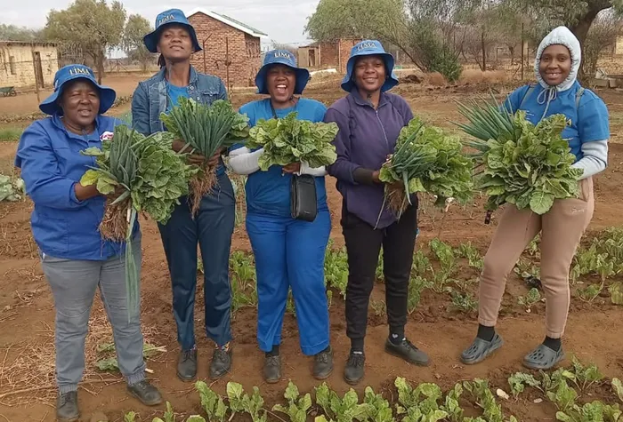 A partnership between EDF Power Solutions South Africa and the LIMA Rural Development Foundation is helping vulnerable Eastern Cape communities improve food security, create jobs and grow small businesses through sustainable rural development.