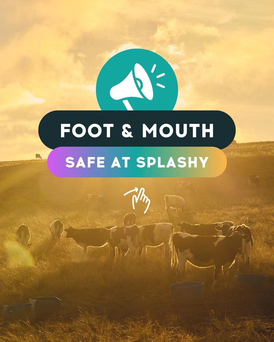 Splashy Fen confirms April festival will go ahead in spite of Foot-and-Mouth concerns