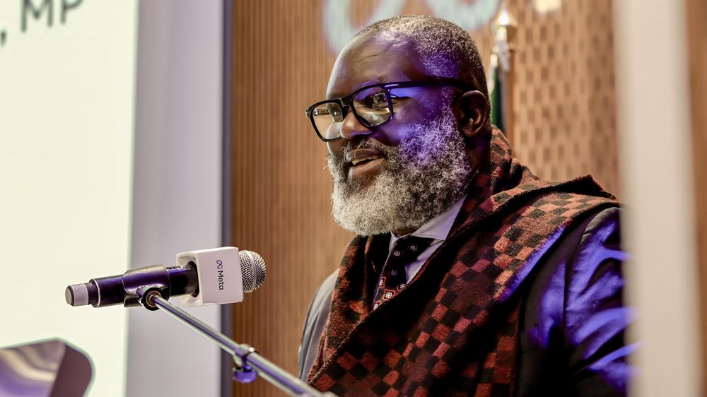 No government services earmarked for immediate insourcing, minister says - IOL
