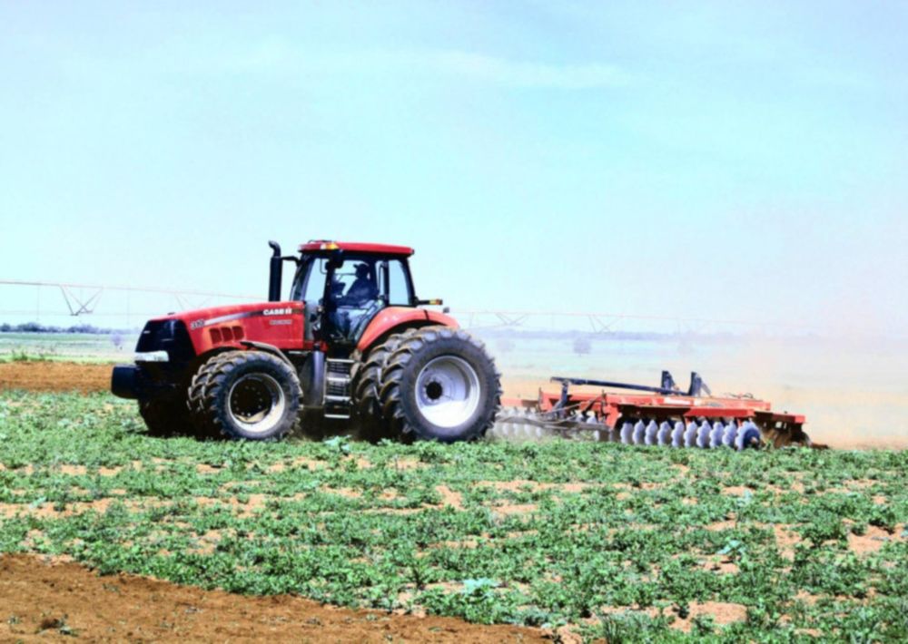 Uneven ground: the mixed reality of South African land reform after 32 years