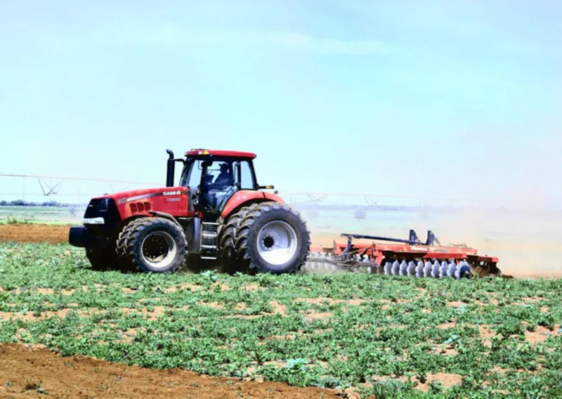 Rural Development Is South Africa’s Biggest Unfinished Democratic Promise