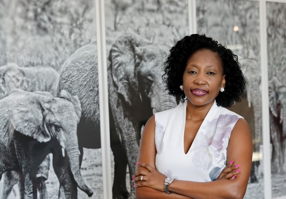 Bidvest lifts final dividend 25% after a busy year of organic growth ...