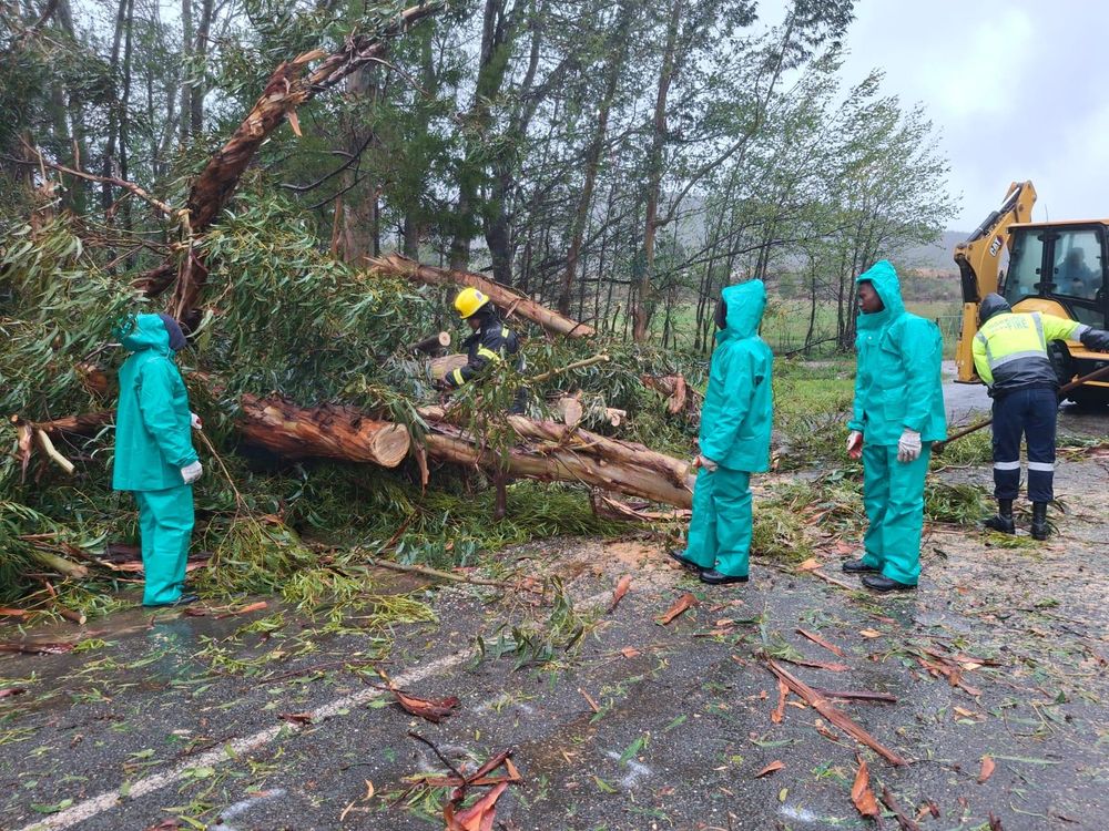 Garden Route National Park faces destruction from severe weather as Cape Town braces for flooding