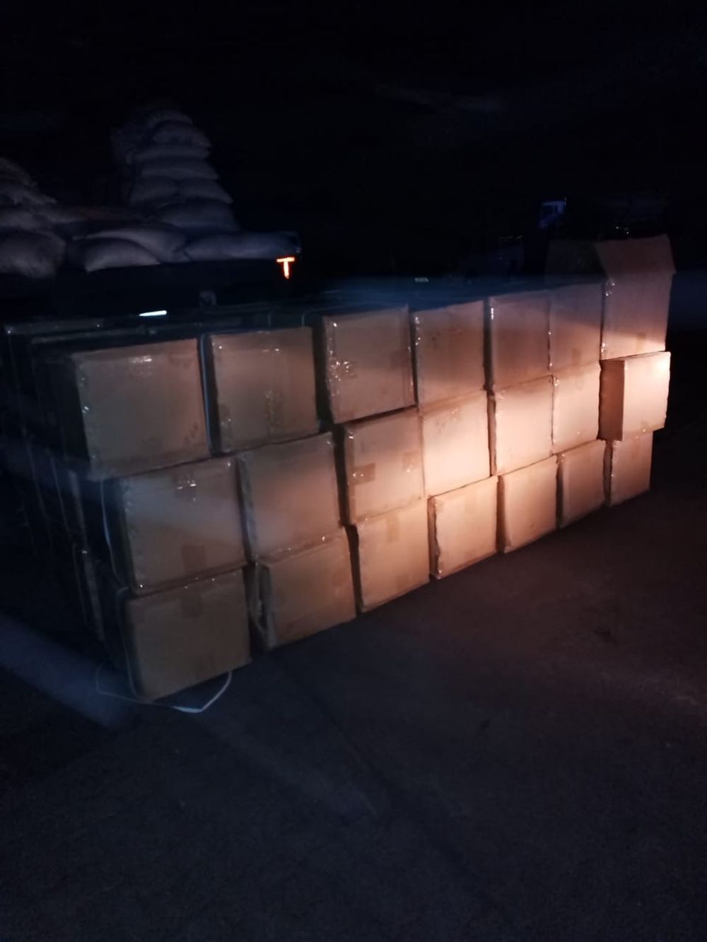 SANDF soldiers bust trucker with R223m worth of erectile dysfunction pills