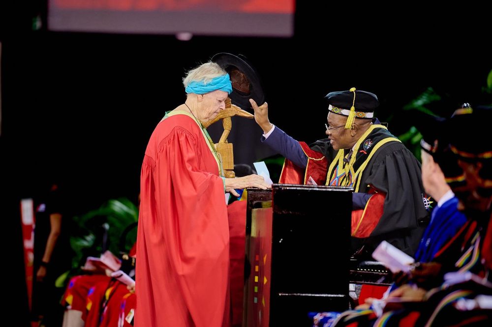 From estuary walks to PhD: 76-year-old’s research shines light on Durban’s mangrove crisis
