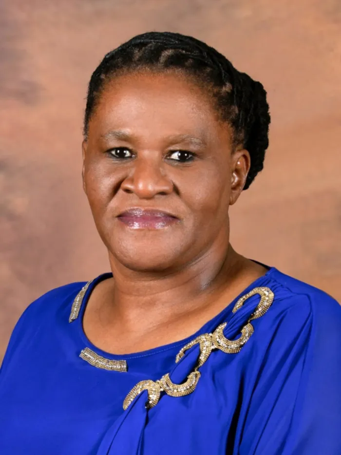The Eastern Cape’s MEC for Economic Development, Environmental Affairs and Tourism, Nonkqubela Pieters, was involved in a vehicle accident on the N2 between East London and Mdantsane.