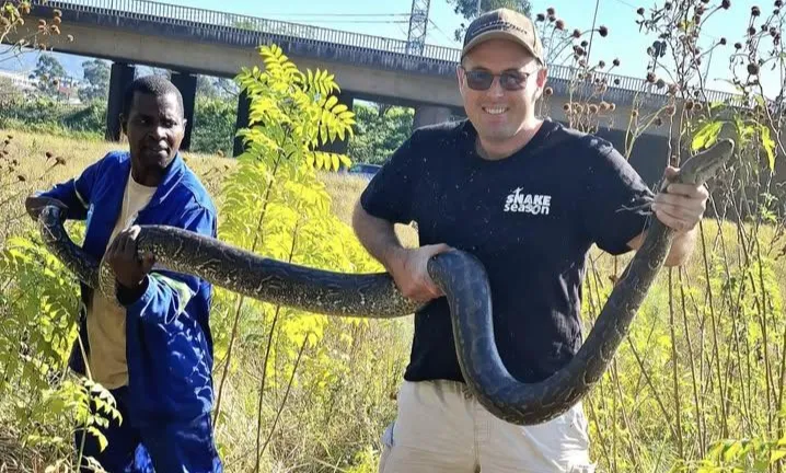 Mystery of the colossal 3. 5 meter python spotted near New Germany
