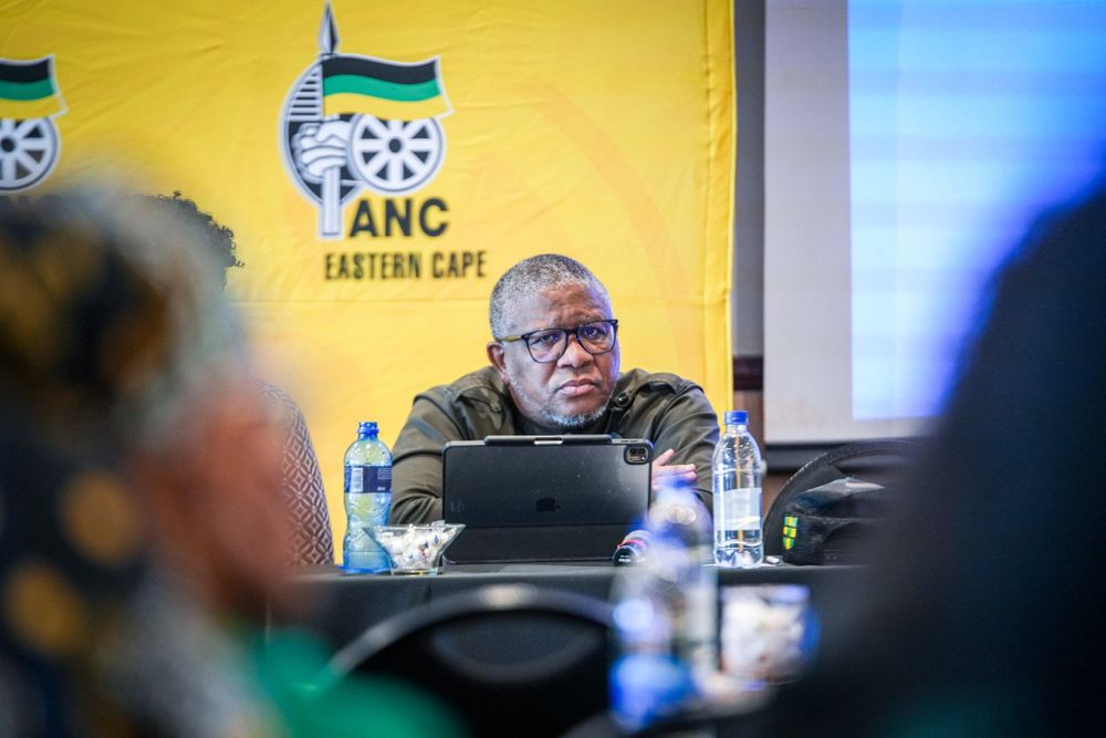 Two court bids seek to stop ANC Eastern Cape conference