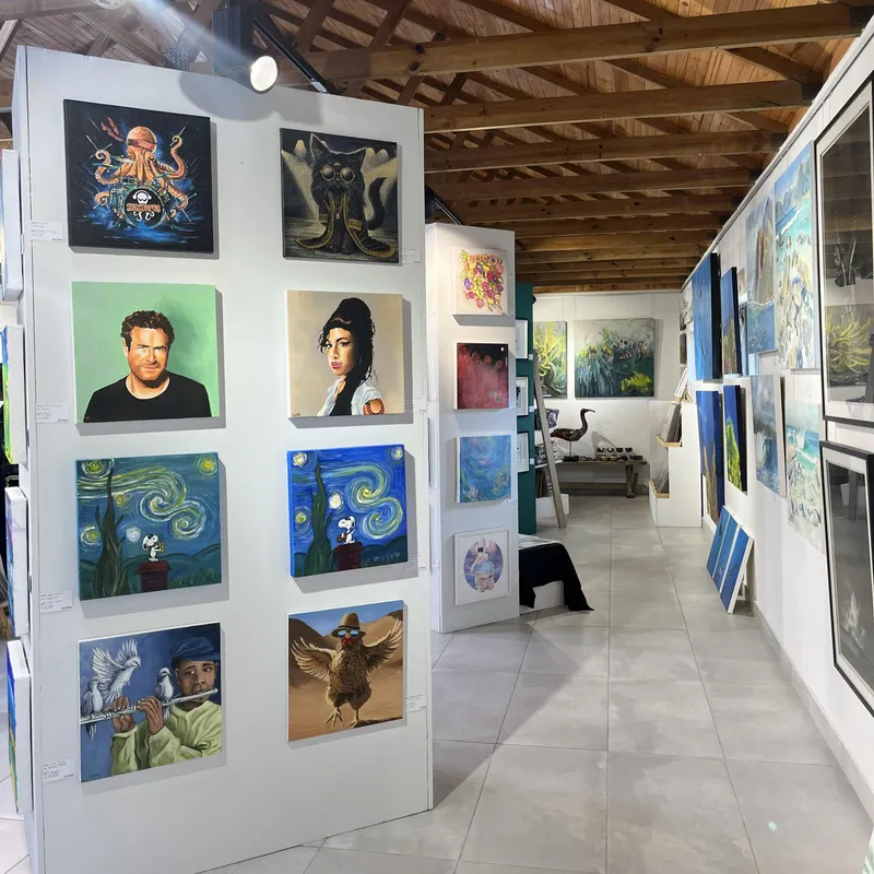 Noordhoek gallery invites artists of all levels to join 2026 exhibition