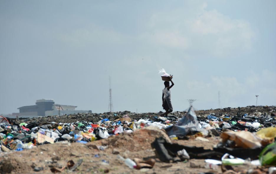 FNB Connect’s eco-friendly SIM cards aim to reduce pollution in South Africa