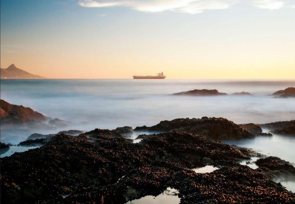 South Africa–Europe shipping route could run on green ammonia by 2029: Study