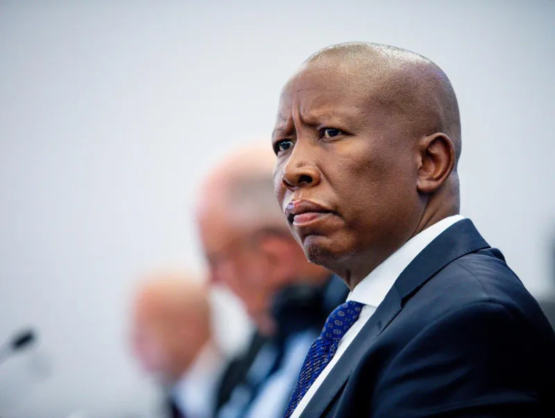 Leadership on trial: Malema sentencing and the cost of political recklessness in South Africa