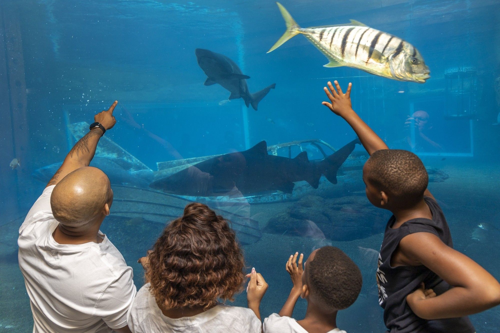 uShaka Marine World reopens after month-long strike ends