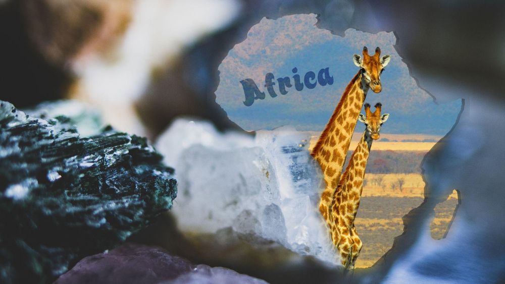 Africa Day: The paradox of strength and survival