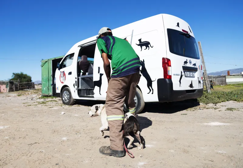 Animal rescue workers assaulted and robbed near Siyahlala Clinic in Philippi