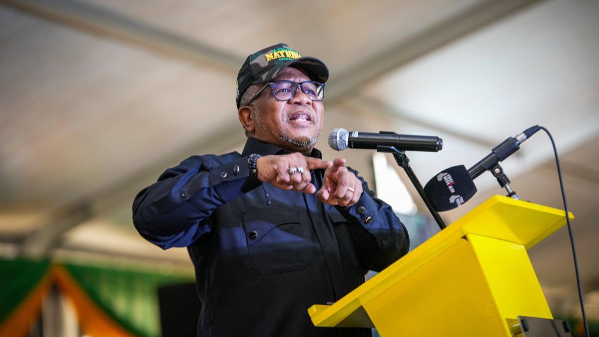 Fikile Mbalula sieht sich mit Vorwürfen politischer Einmischung in die ...