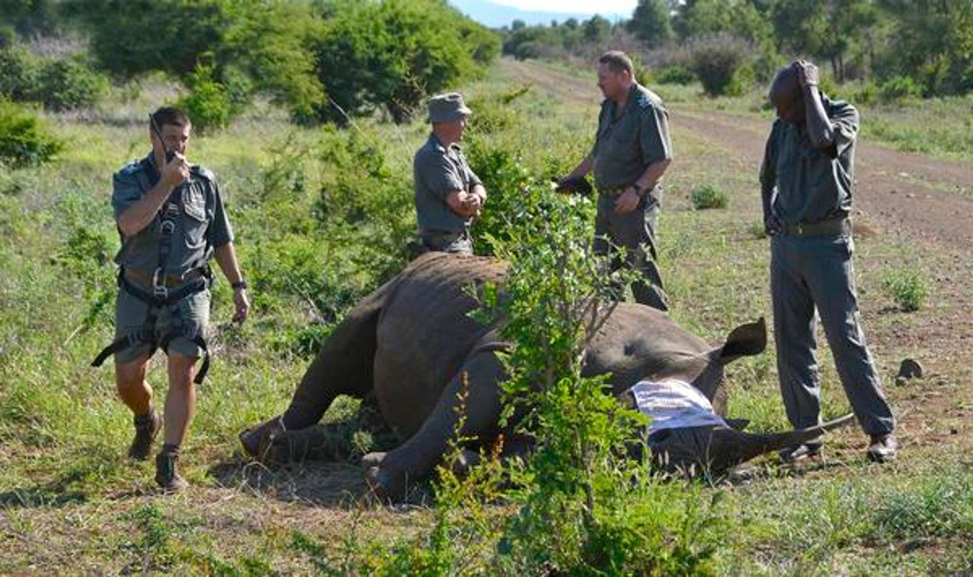 Wildlife rangers get new weapon in war against poachers