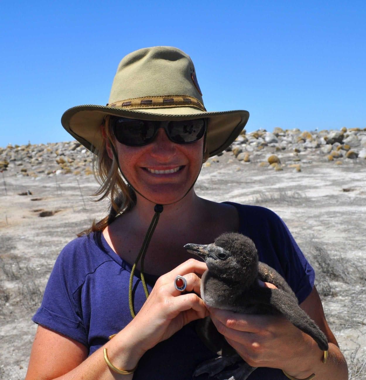 Urban Caracal project to visit Gordon’s Bay