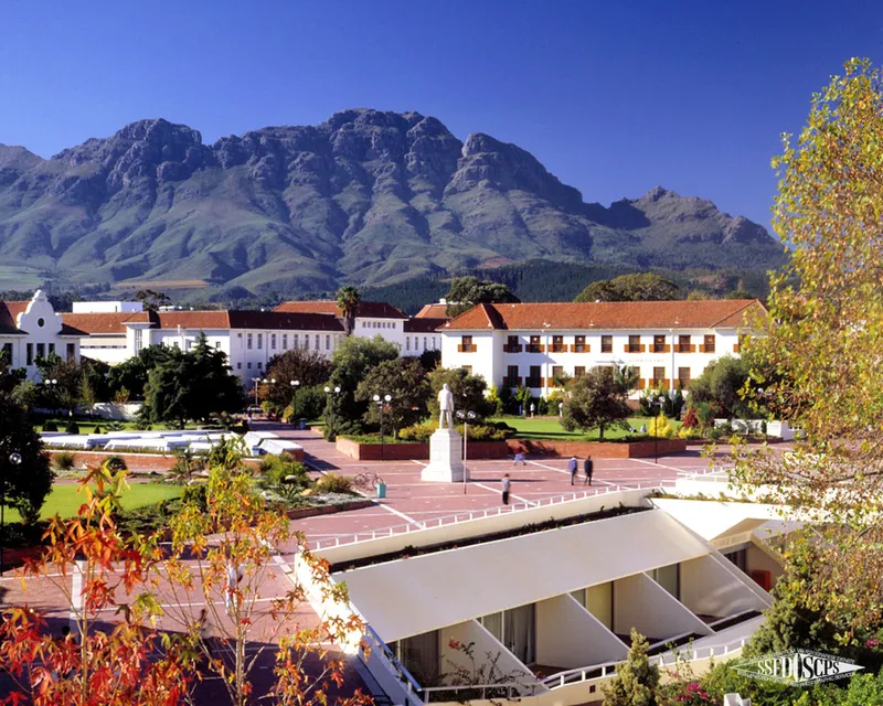 What’s behind the protest by Stellenbosch University students?
