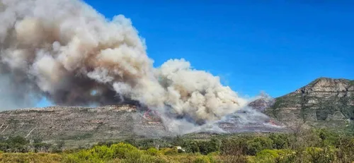 Table Mountain Fire: Blazes rage in upper Tokai and Silvermine as firefighting efforts intensify
