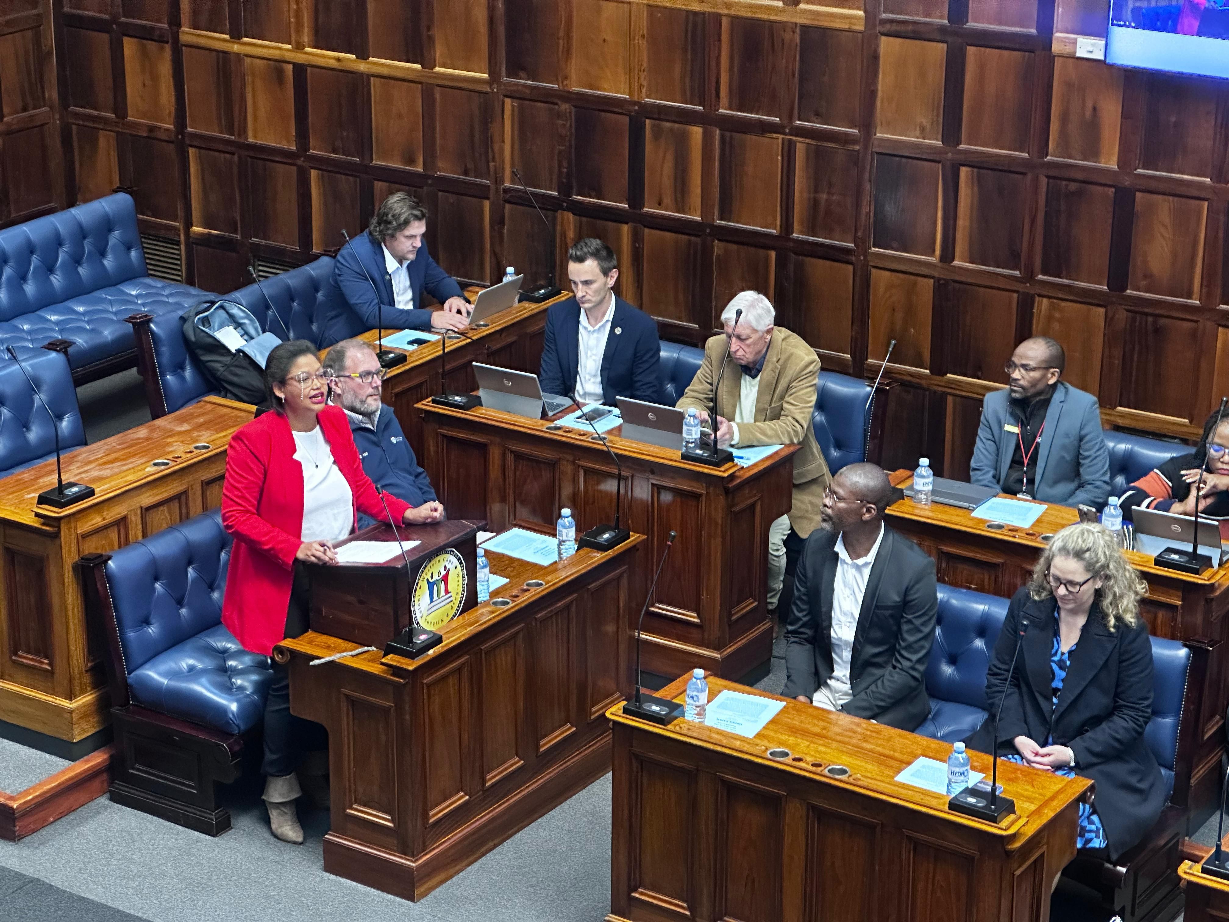 Western Cape Defies National Uncertainty: R89.3 Billion Budget Re-Tabled, Promises Stable Services