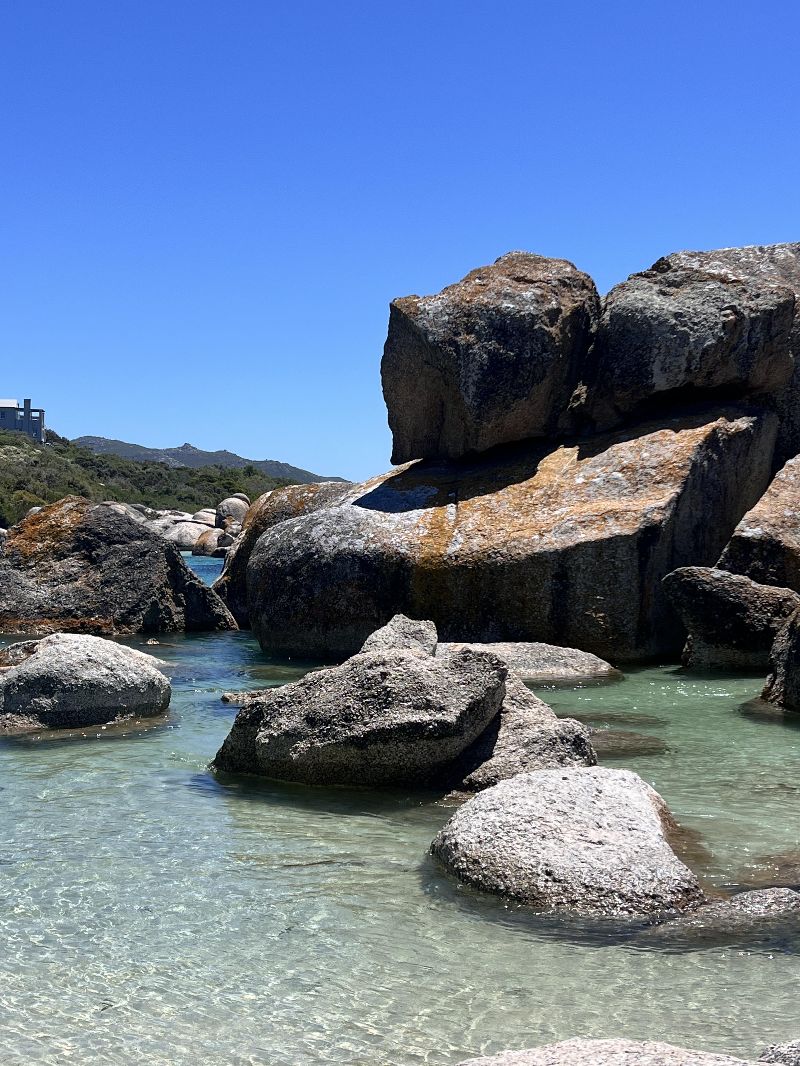 Cape Town beaches crowned world’s best as Boulders Beach takes global No.1 spot