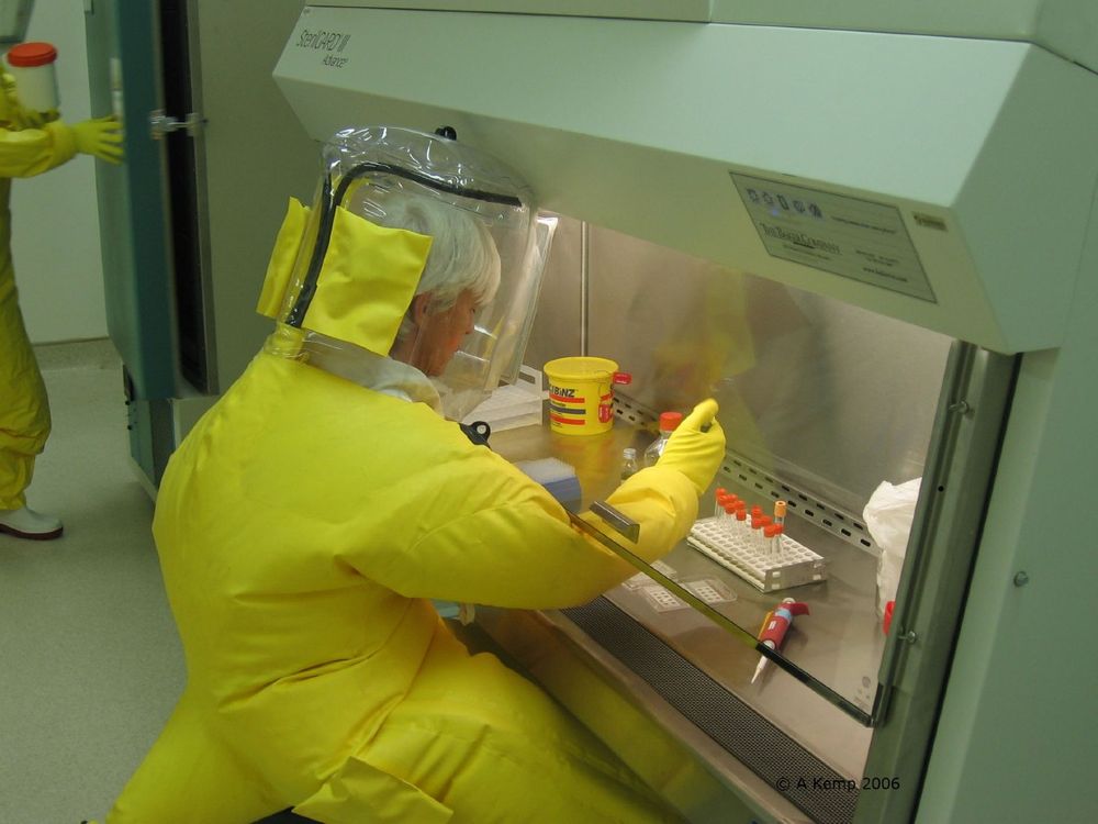 South Africa's response to hantavirus outbreak lauded