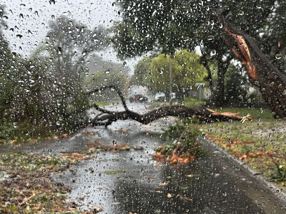 Severe storm hits Cape Town: Roads flooded, roofs blown off as Level 8 alert remains in force