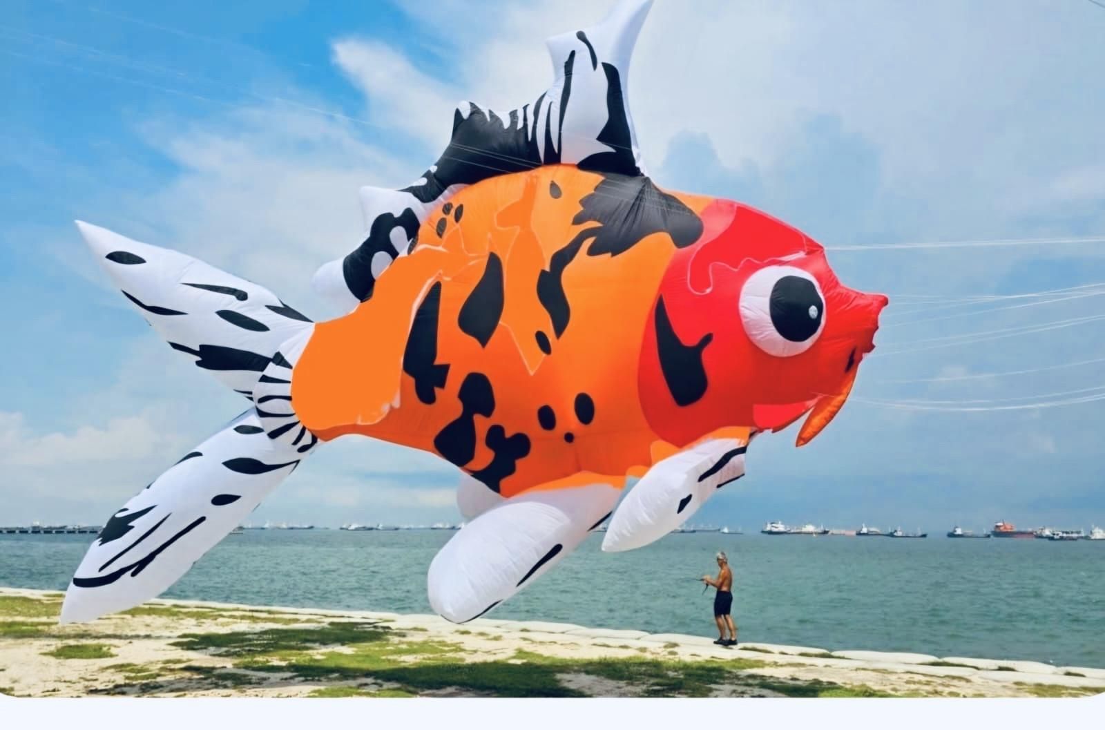 Gear up for the Cape Town International Kite Festival: a celebration of creativity and mental health