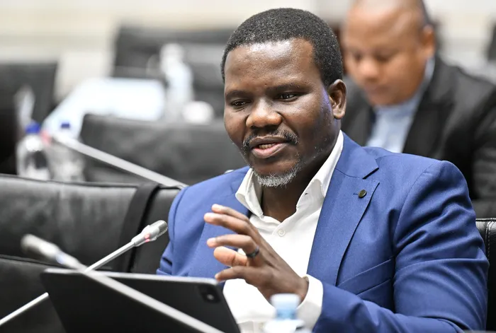 ANC chief whip Mdumiseni Ntuli