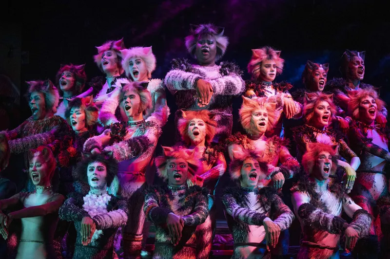 Cats returns to the Artscape Opera House for a festive season spectacular