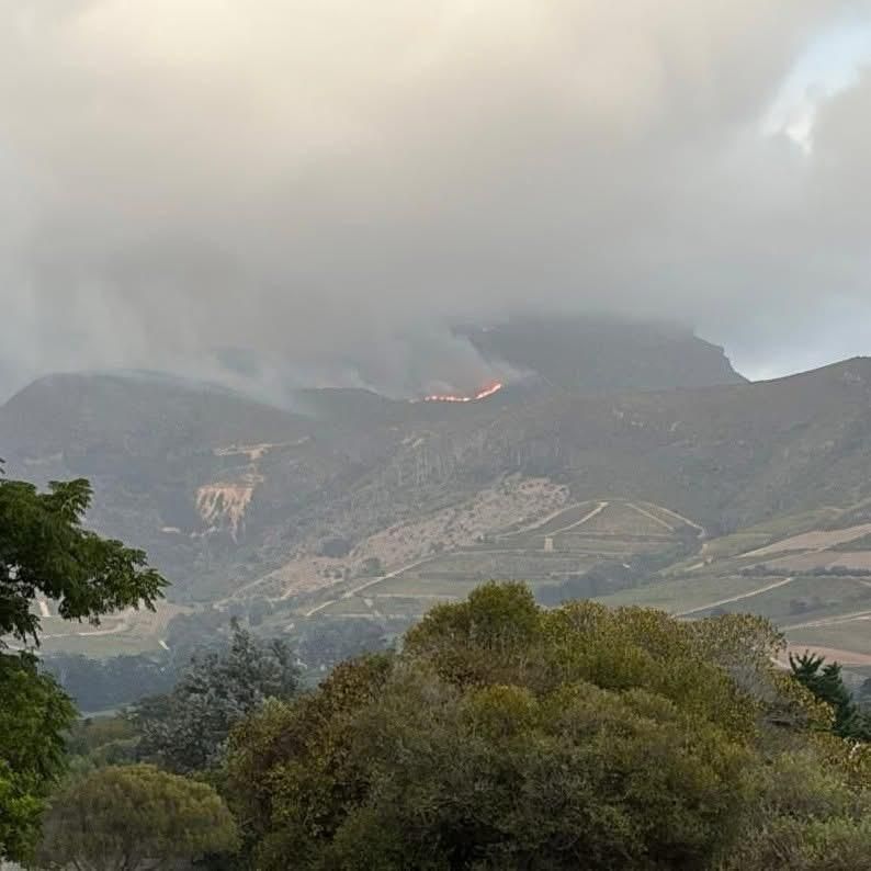Firefighters battle ongoing wildfire on Vlakkenberg slopes