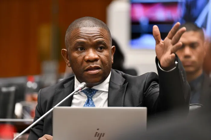 The Ad Hoc Committee investigating allegations made by KwaZulu-Natal Police Commissioner Nhlanhla Mkhwanazi received a draft report from evidence leaders on Thursday.
