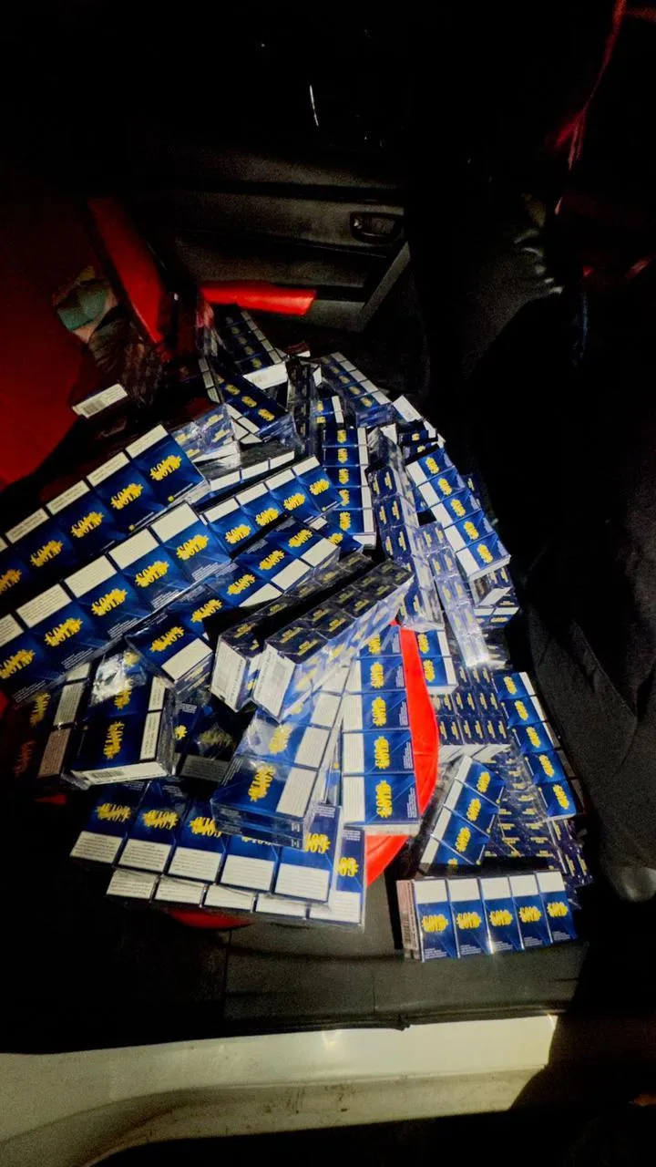 Major breakthrough in Gauteng as police seize R3.7 million illicit cigarette haul