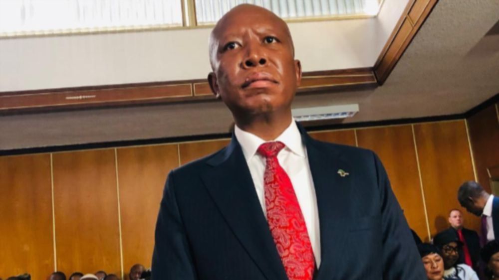 'Everything was planned': State moves to sink Malema firearm appeal