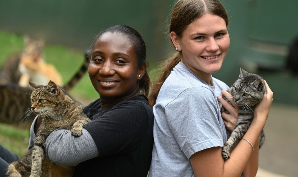 AACL Durban calls for compassion towards animals this International ...