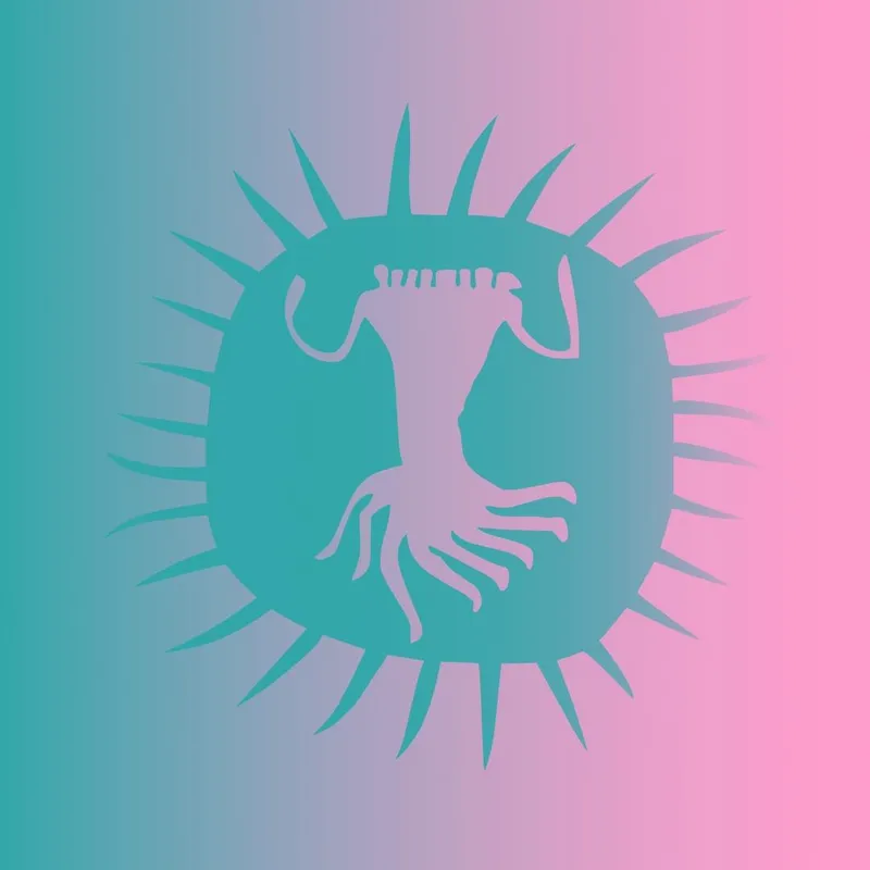 Experience AfrikaBurn: A journey through Tankwa Karoo