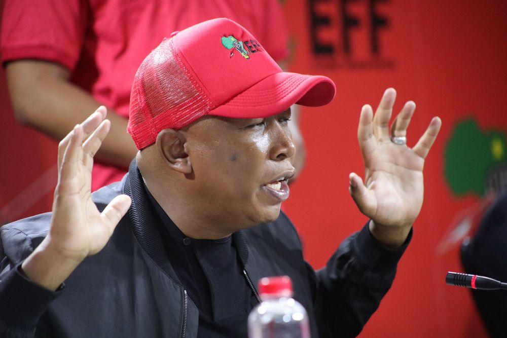 EFF disbands Limpopo command council after poor showing in local ...