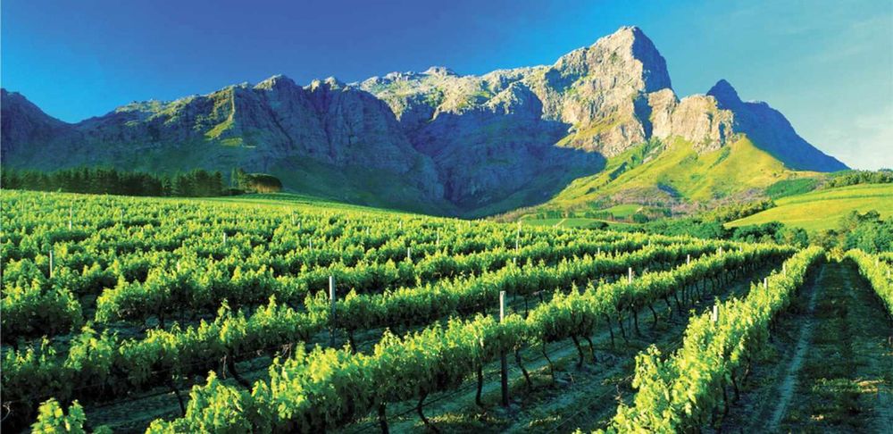 Did You Know the World’s Longest Wine Route Runs Through South Africa?