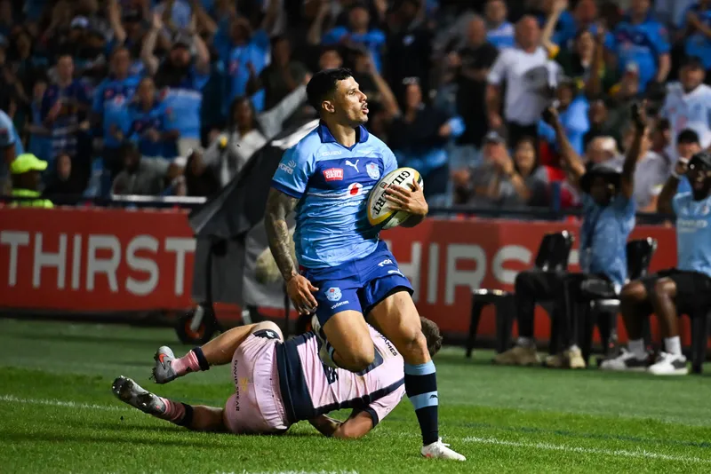 Not just good on paper: How Embrose Papier is pushing for a Springbok recall