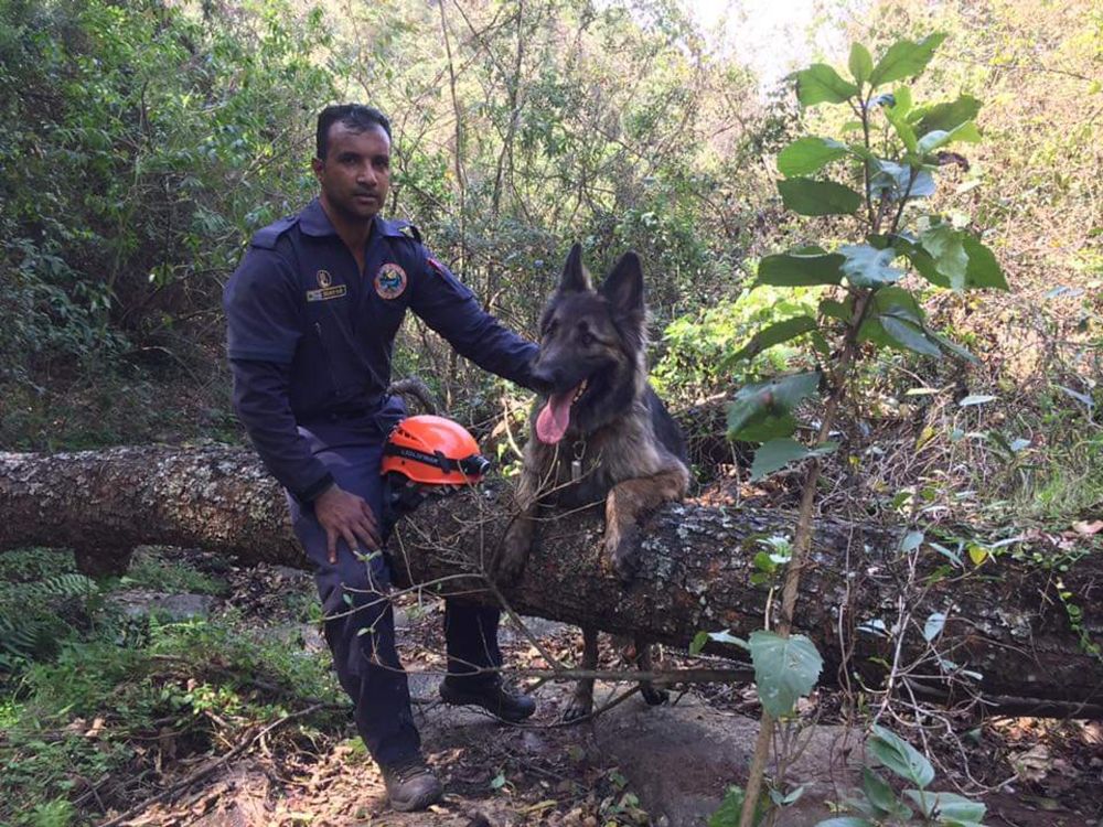 'Hero’ Dante prepares for retirement