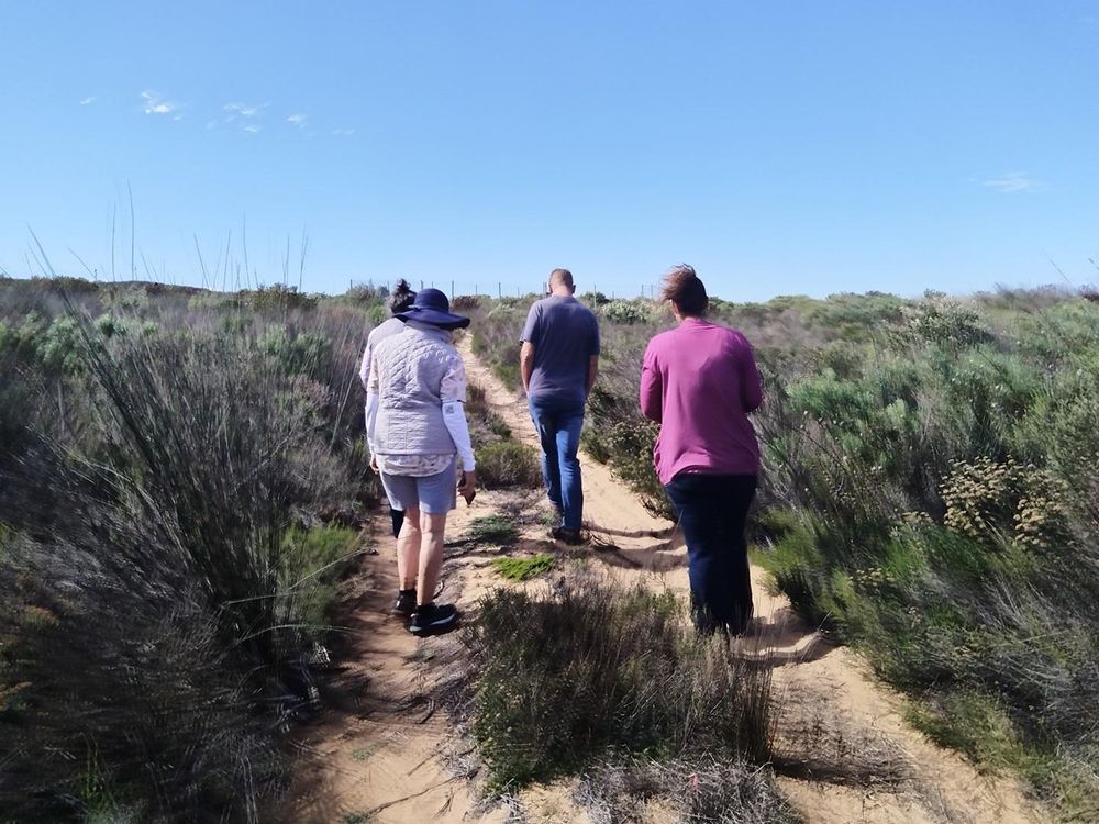 City Nature Challenge: South Africa's role in global biodiversity conservation