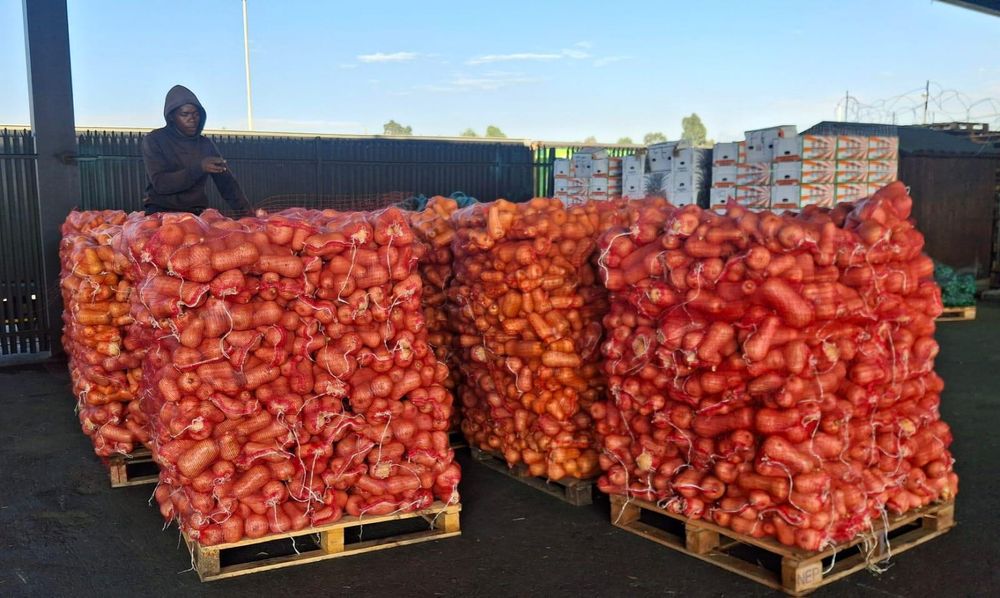 City Deep: the bustling hub of South Africa's logistics and agriculture