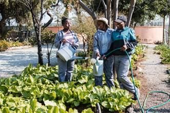 South Africa's youth find hope in micro-farming initiative