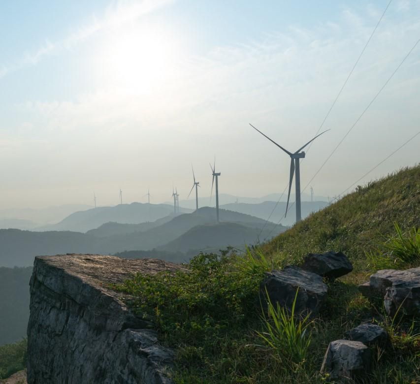 Green economy continues to surge as WEF predicts market will top $7trln within the decade