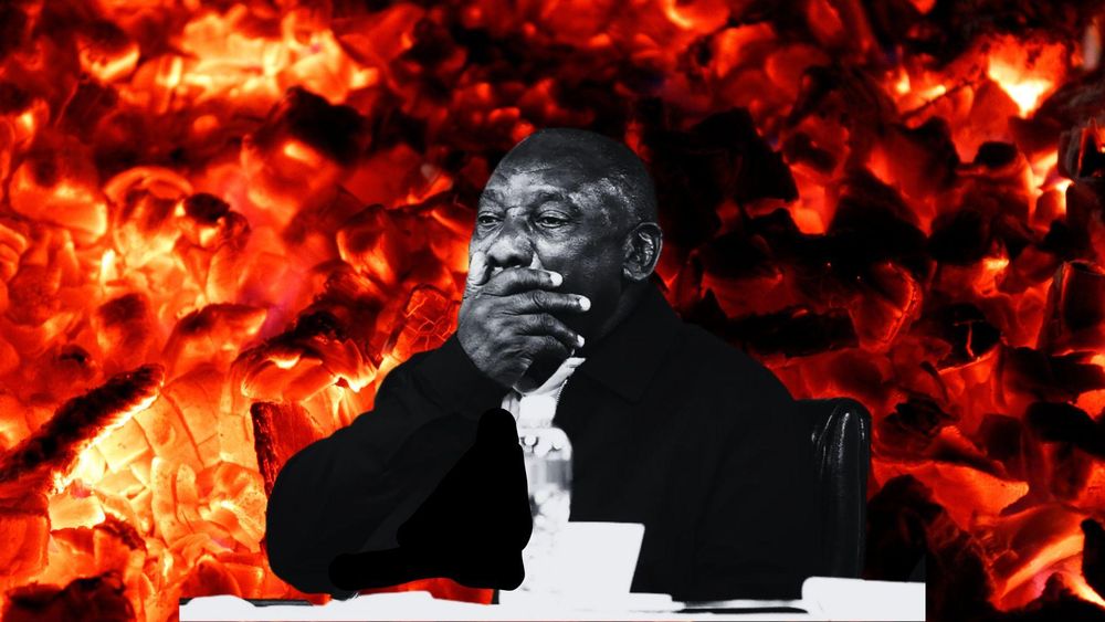 Phala Phala Saga | A complete timeline of events