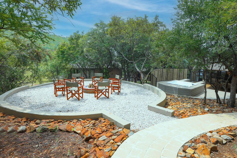 Ivory Tree is a treat for visitors